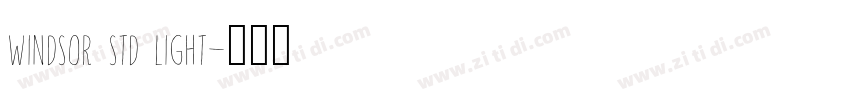 windsor std light字体转换